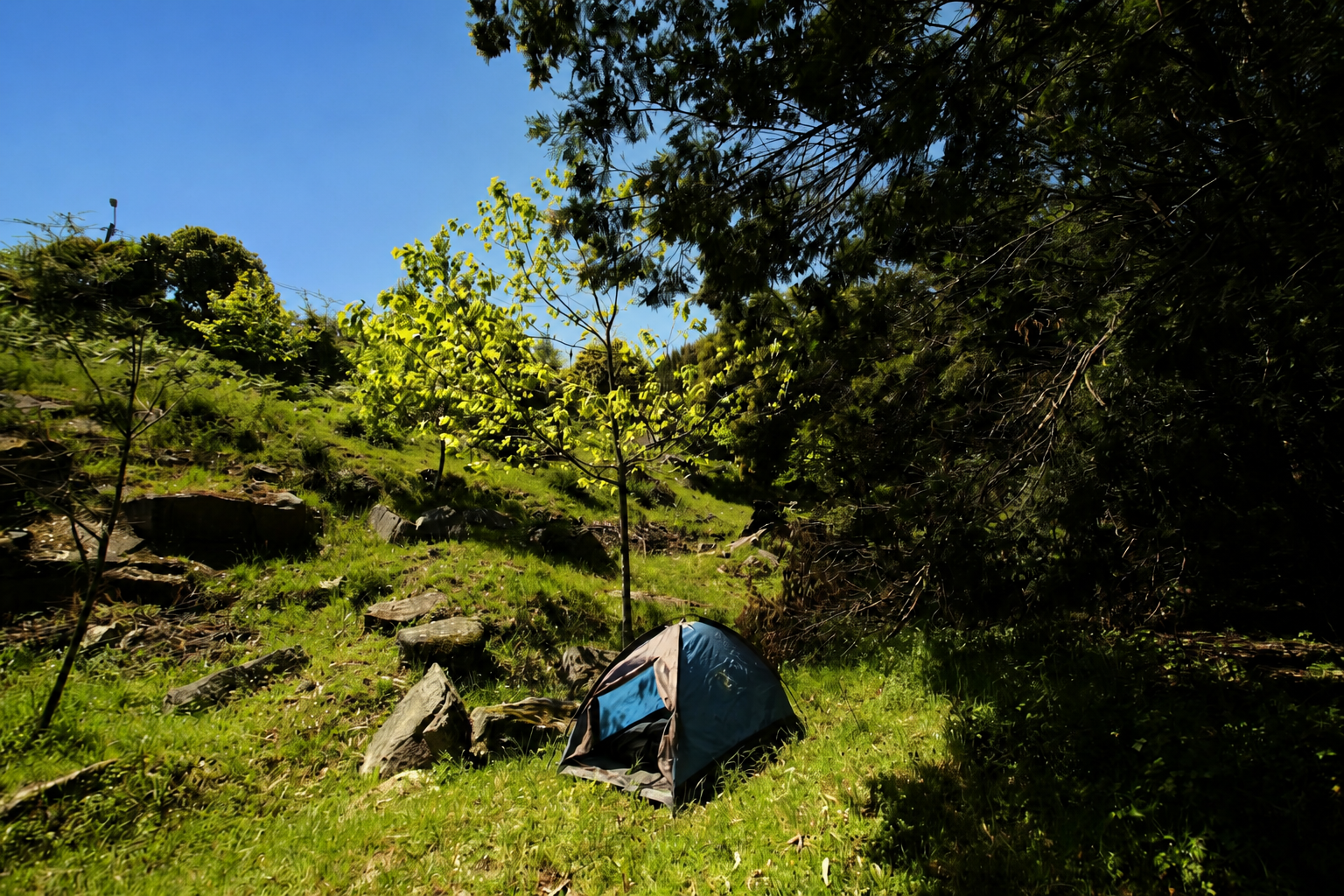 A tent pitched on a grassy hillside at the Chronosphere campsite