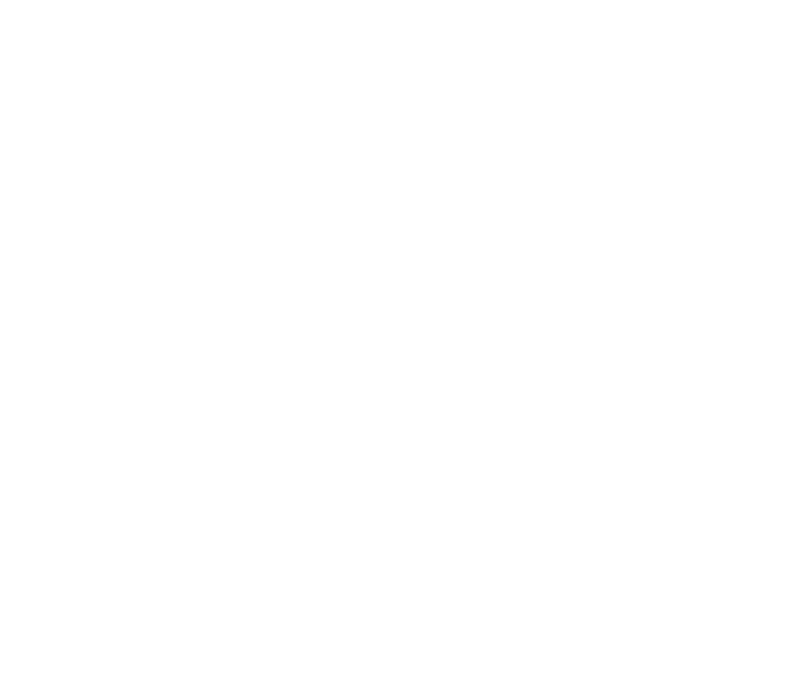 Voz Autista